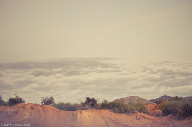 Desert Candy